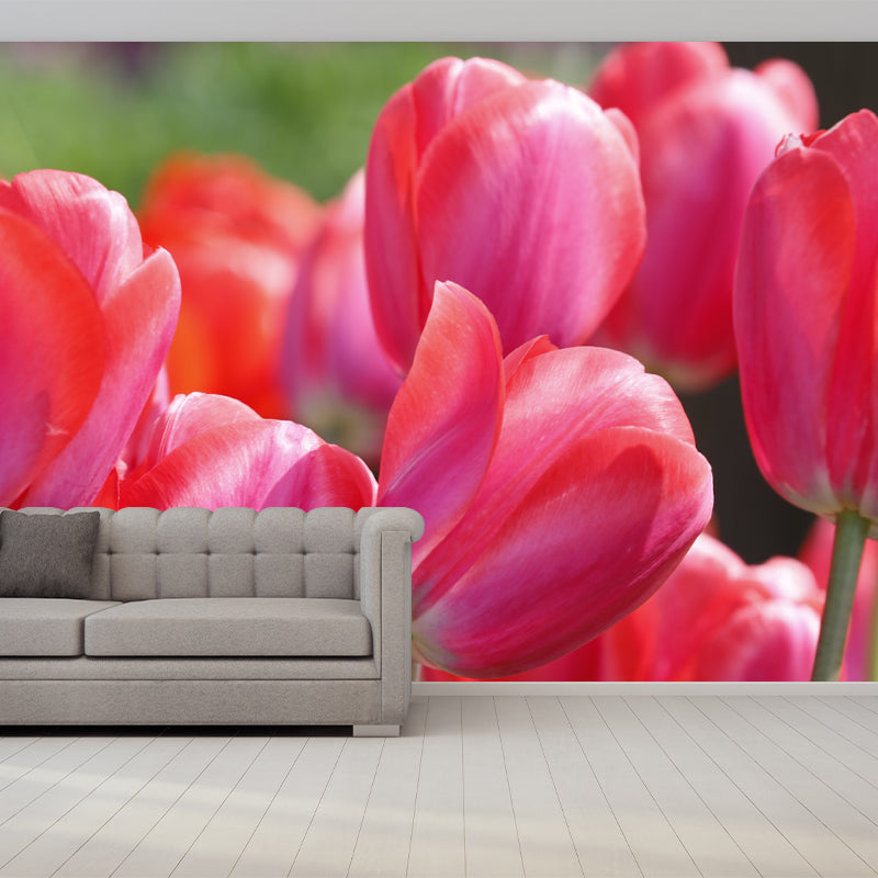 Blossoming Tulip Home Decor Personalized Size Wall Mural Decal for Girl's Bedroom