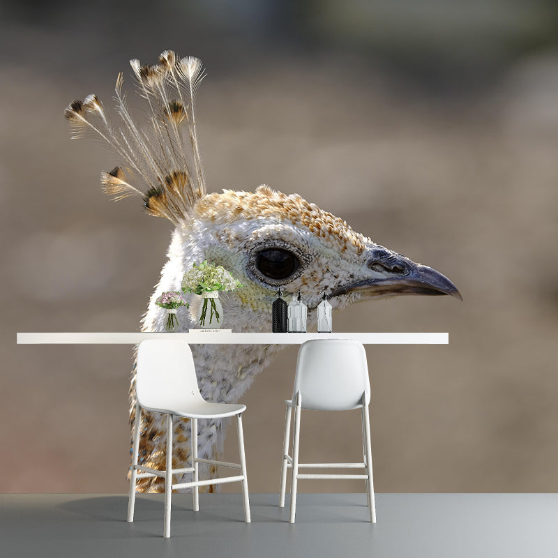 Peacock Animal Mural Wallpaper Stain Resistant Wall Covering for Gust Room