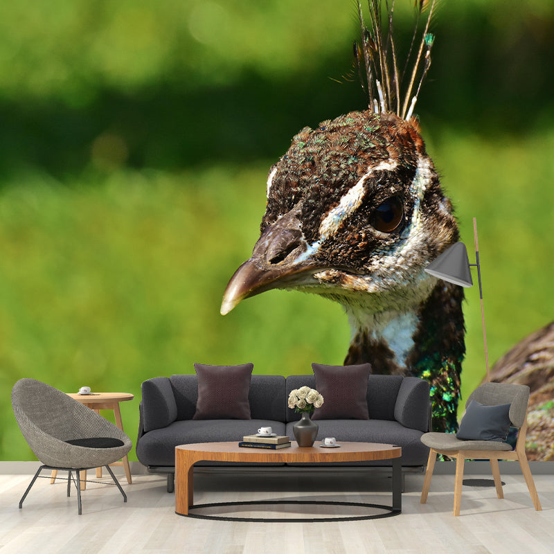 Peacock Animal Mural Wallpaper Stain Resistant Wall Covering for Gust Room