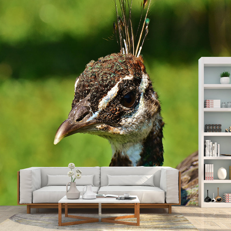 Peacock Animal Mural Wallpaper Stain Resistant Wall Covering for Gust Room
