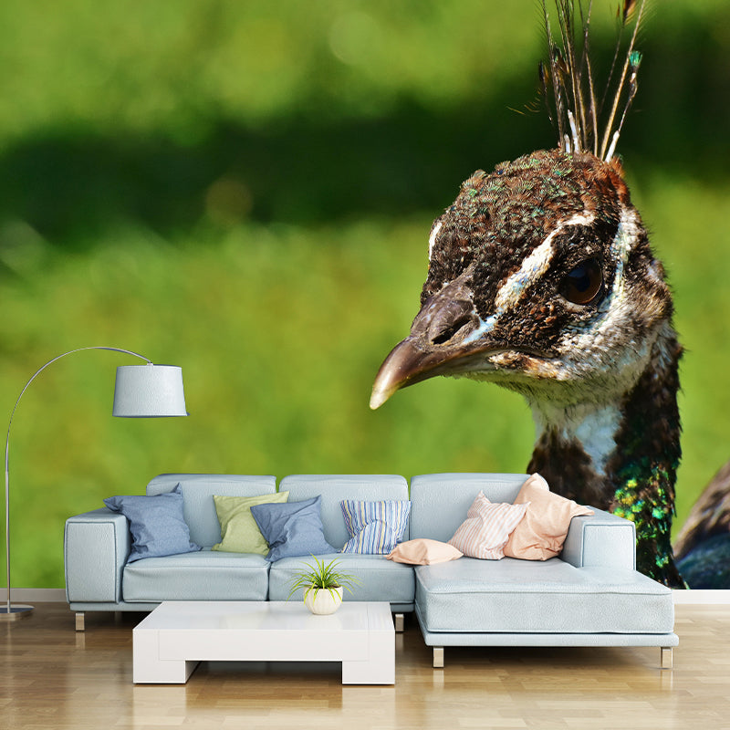 Peacock Animal Mural Wallpaper Stain Resistant Wall Covering for Gust Room