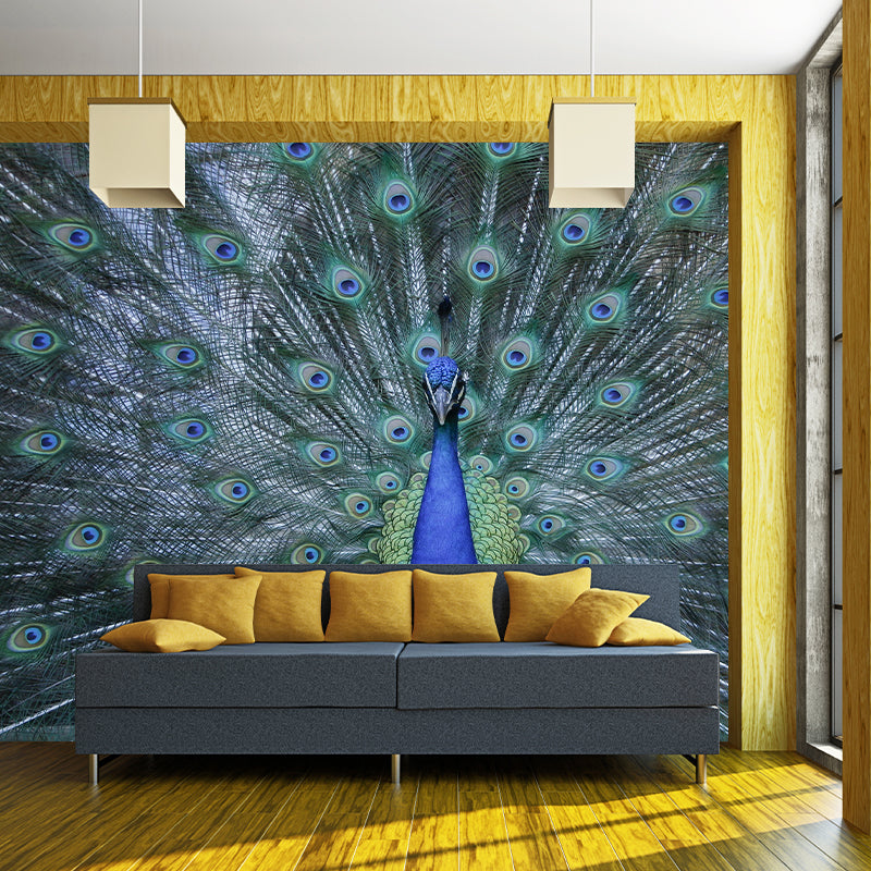 Beautiful Peacock Mural Wallpaper Stain Resistant Wall Covering for Living Room