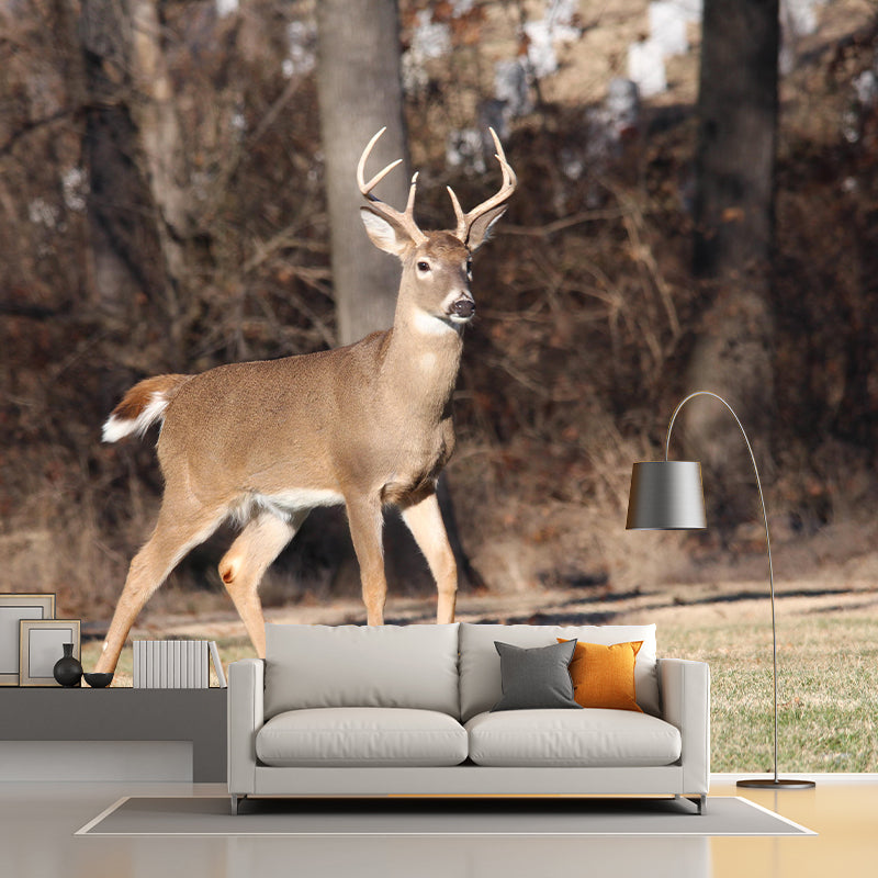 Deer Animal Mural Wallpaper Stain Resistant Wall Covering for Living Room
