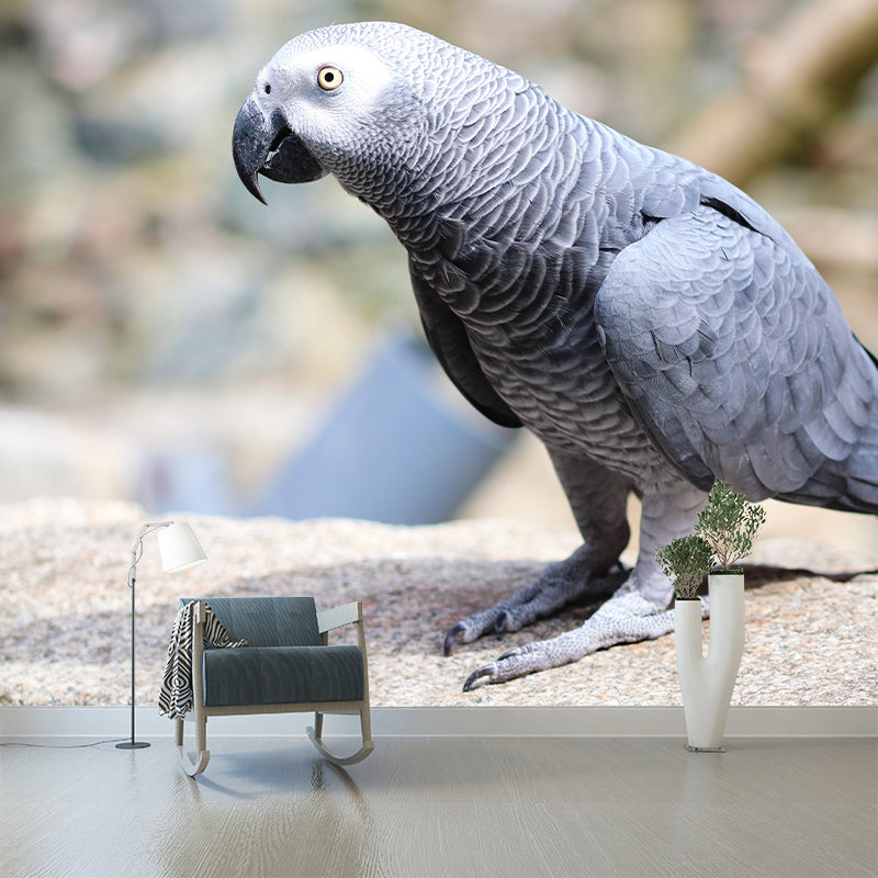 Parrot Animal Mural Wallpaper Stain Resistant Wall Covering for Living Room