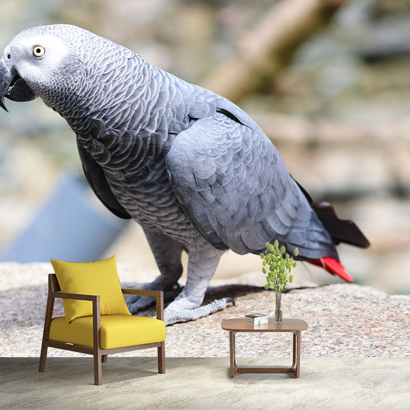 Parrot Animal Mural Wallpaper Stain Resistant Wall Covering for Living Room