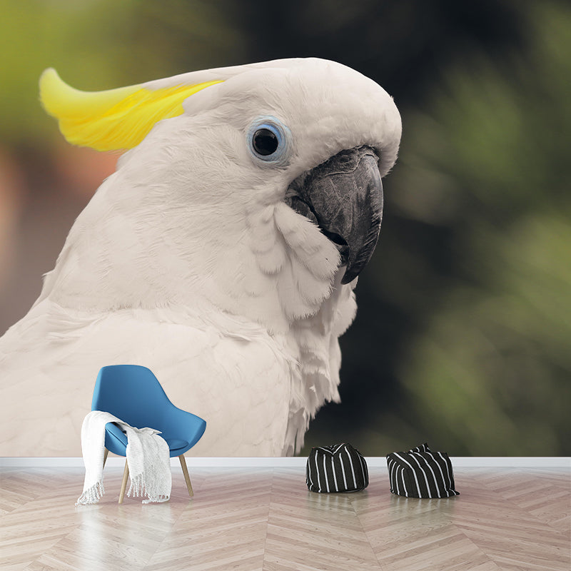 Parrot Animal Mural Wallpaper Stain Resistant Wall Covering for Living Room