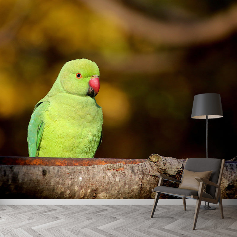 Parrot Animal Mural Wallpaper Stain Resistant Wall Covering for Living Room
