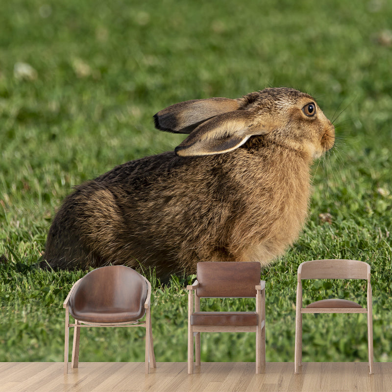 Hare Animal Mural Wallpaper Stain Resistant Wall Covering for Living Room