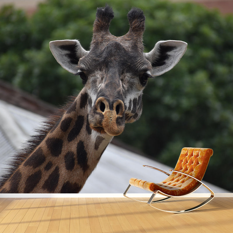 Giraffe Animal Mural Wallpaper Stain Resistant Wall Covering for Living Room