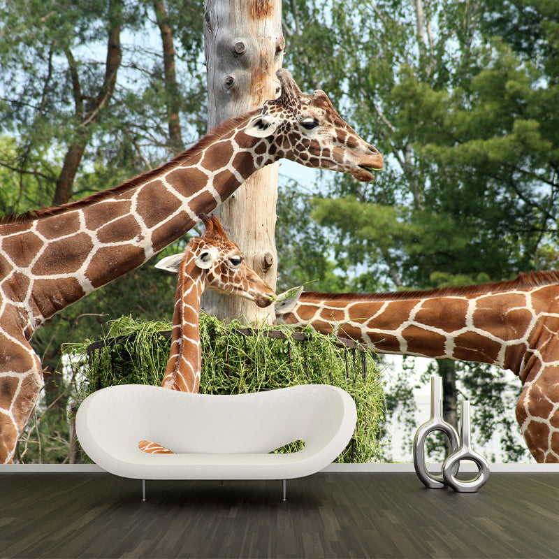 Giraffe Animal Mural Wallpaper Stain Resistant Wall Covering for Living Room