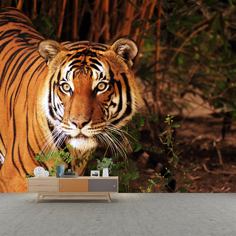 Handsome Tiger Mural Wallpaper Stain Resistant Wall Covering for Living Room