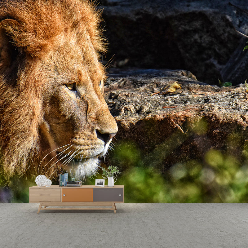Handsome Lion Mural Wallpaper Stain Resistant Wall Covering for Living Room