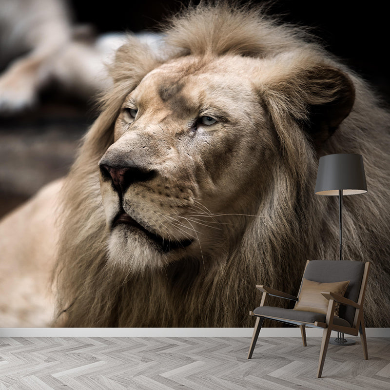 Handsome Lion Mural Wallpaper Stain Resistant Wall Covering for Living Room