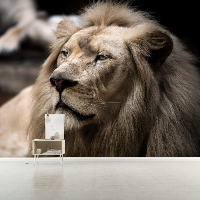 Handsome Lion Mural Wallpaper Stain Resistant Wall Covering for Living Room