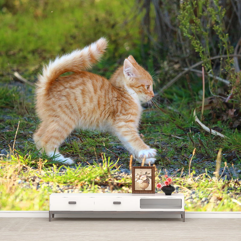 Lovely Kitten Mural Wallpaper Stain Resistant Wall Covering for Sitting Room