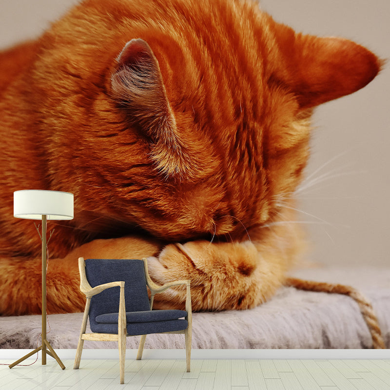 Modern Cat Mural Wallpaper Stain Resistant Wall Covering for Sitting Room
