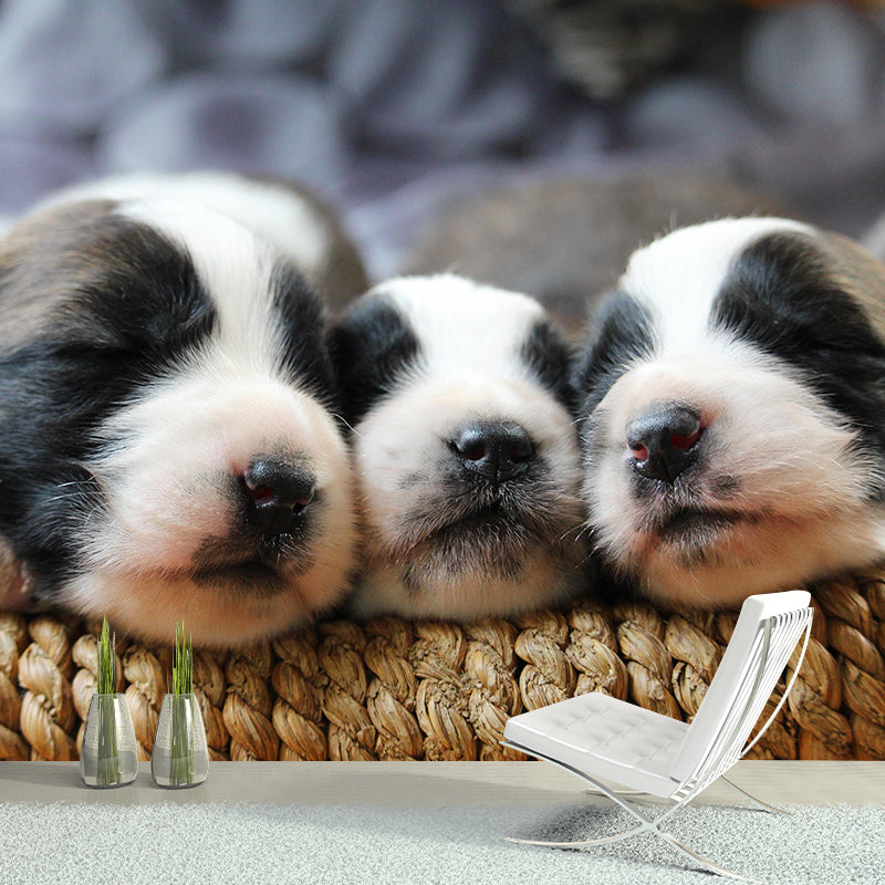 Puppy Animal Mural Wallpaper Stain Resistant Wall Covering for Living Room