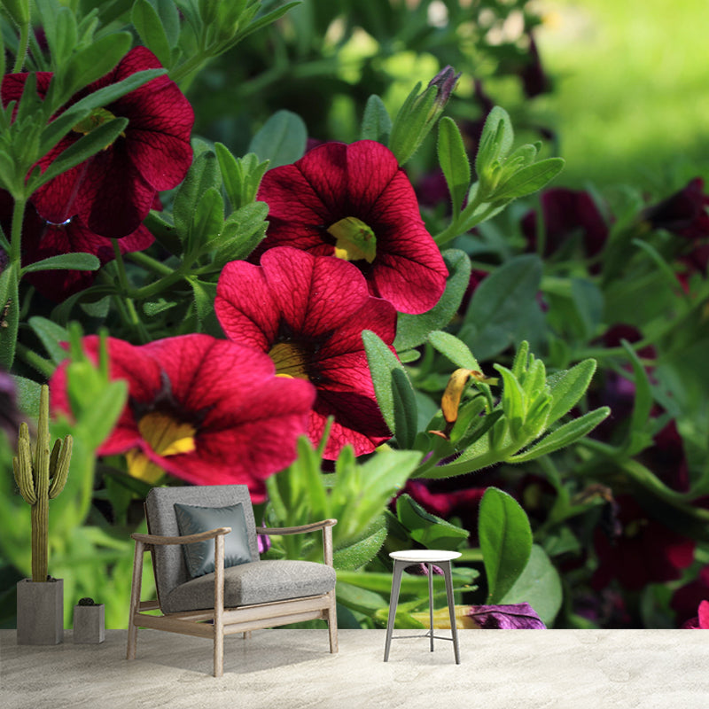 Modern Petunia Mural Wallpaper Stain Resistant Wall Covering for Living Room