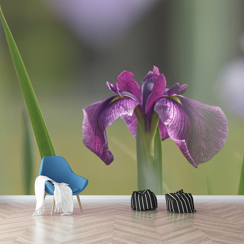 Modern Iris Mural Wallpaper Stain Resistant Wall Covering for Living Room