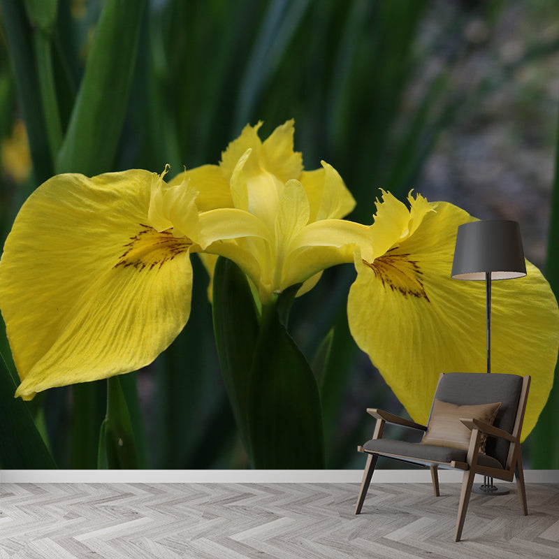Modern Iris Mural Wallpaper Stain Resistant Wall Covering for Living Room