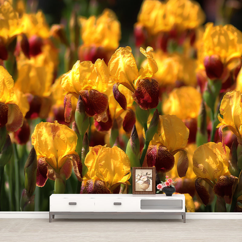 Modern Iris Mural Wallpaper Stain Resistant Wall Covering for Living Room