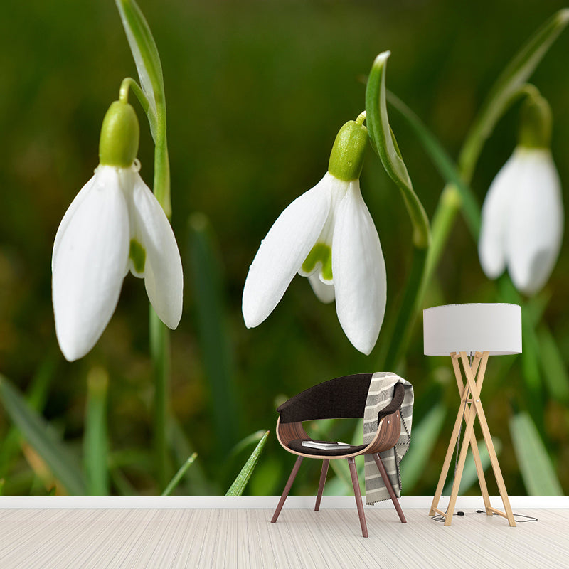 Modern Snowdrop Mural Wallpaper Stain Resistant Wall Covering for Living Room