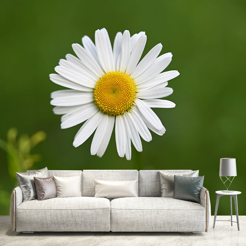 Modern Daisy Mural Wallpaper Stain Resistant Wall Covering for Living Room