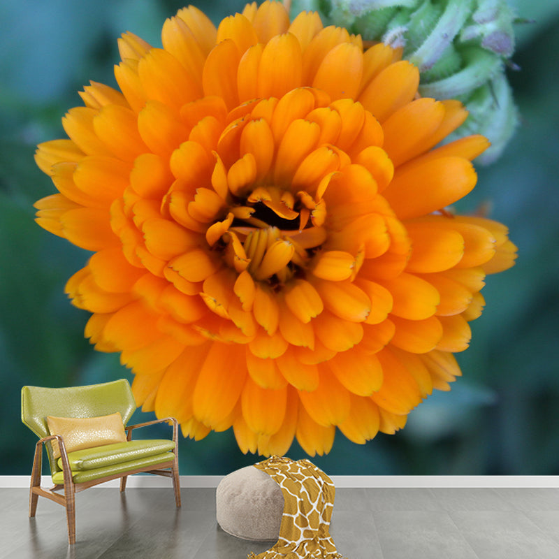 Modern Marigold Mural Wallpaper Stain Resistant Wall Covering for Living Room