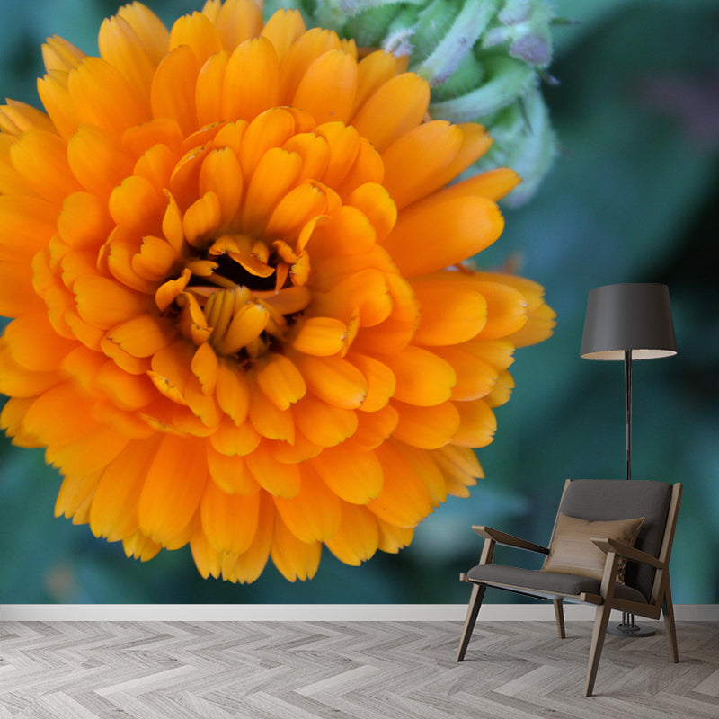 Modern Marigold Mural Wallpaper Stain Resistant Wall Covering for Living Room
