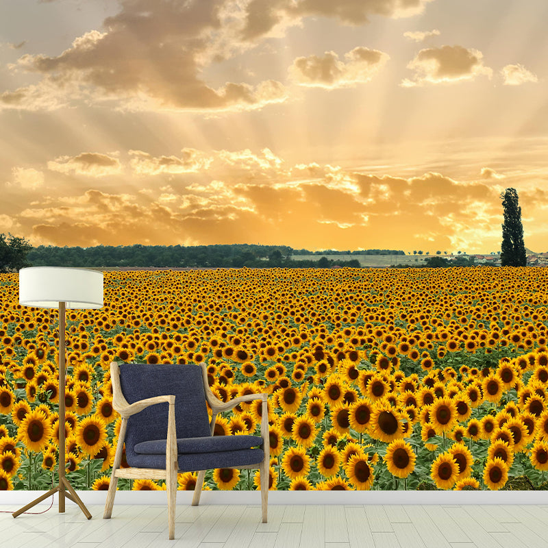 Modern Sunflower Mural Wallpaper Stain Resistant Wall Covering for Living Room
