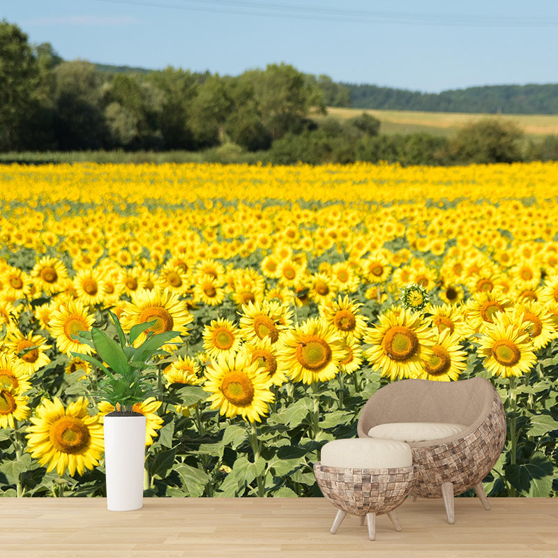 Modern Sunflower Mural Wallpaper Stain Resistant Wall Covering for Living Room
