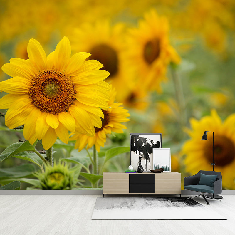 Modern Sunflower Mural Wallpaper Stain Resistant Wall Covering for Living Room