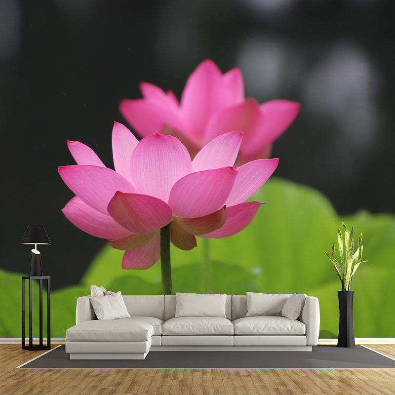 Modern Lotus Mural Wallpaper Stain Resistant Wall Covering for Living Room