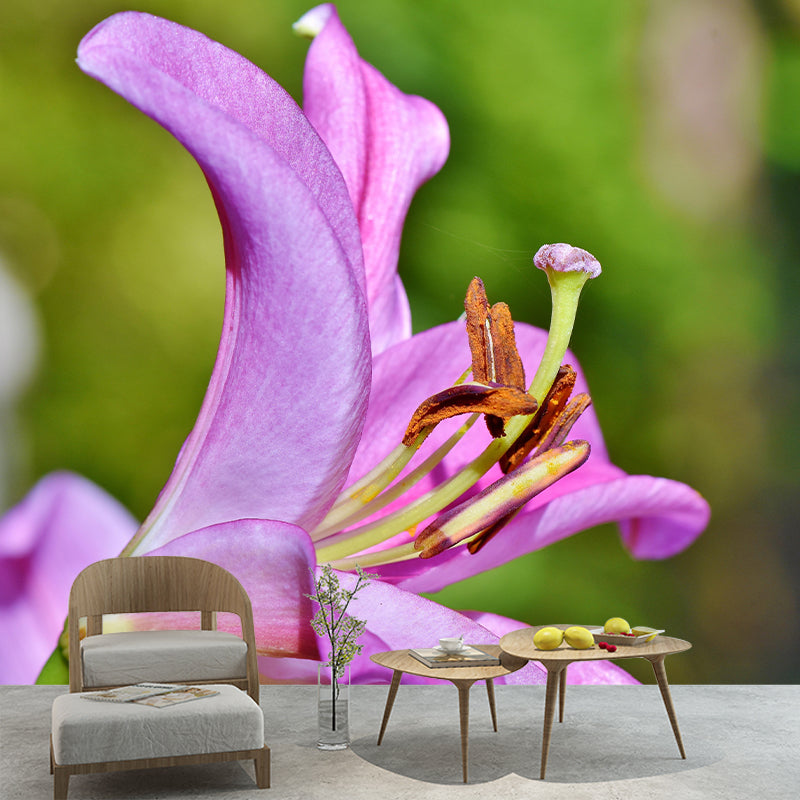 Lily Blooming Mural Wallpaper Stain Resistant Wall Covering for Sitting Room