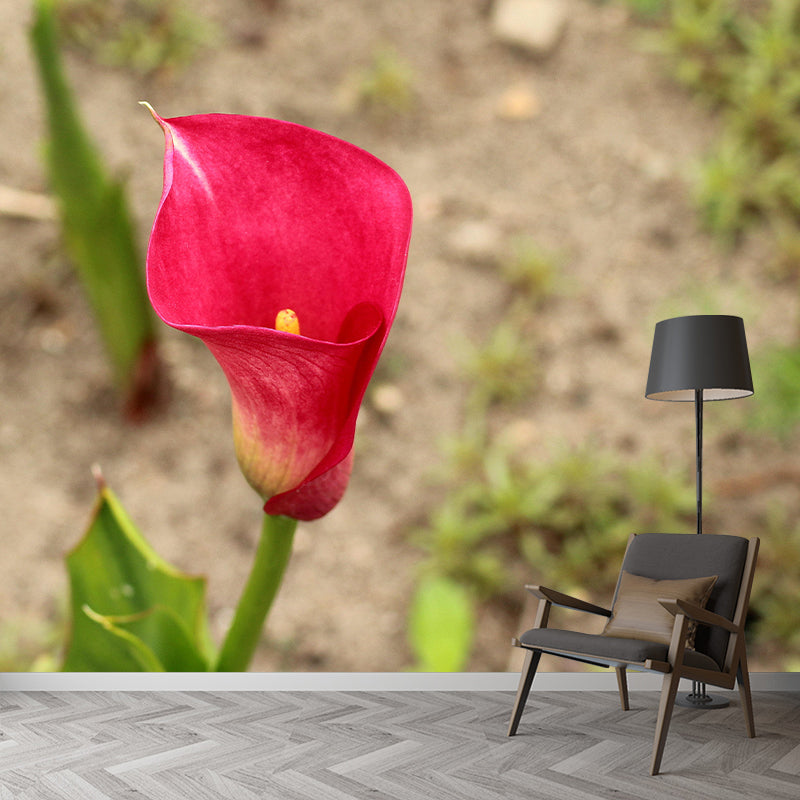 Modern Calla Lily Mural Wallpaper Stain Resistant Wall Covering for Room