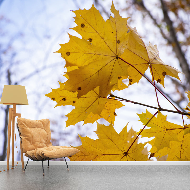 Leaves Murals Full Size Sitting Room Home Decor, Custom Size Available