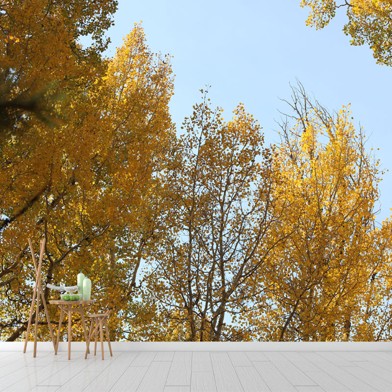 Forest Wall Paper Murals Moisture Resistant Wall Decor for Sleeping Room