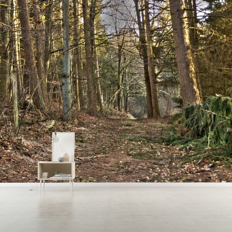 Forest Wall Paper Murals Moisture Resistant Wall Decor for Sleeping Room