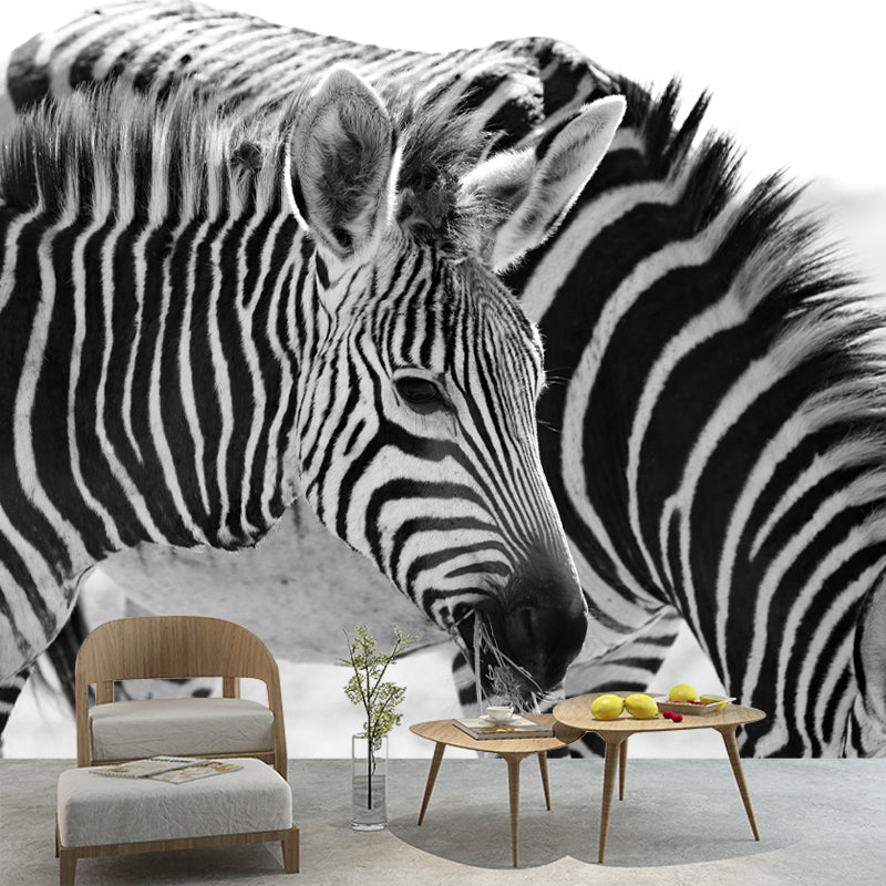 Black and White Zebra Wall Covering for Home Wall Decor, Water Resistant