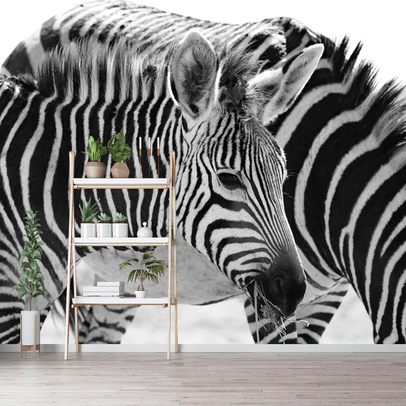 Black and White Zebra Wall Covering for Home Wall Decor, Water Resistant