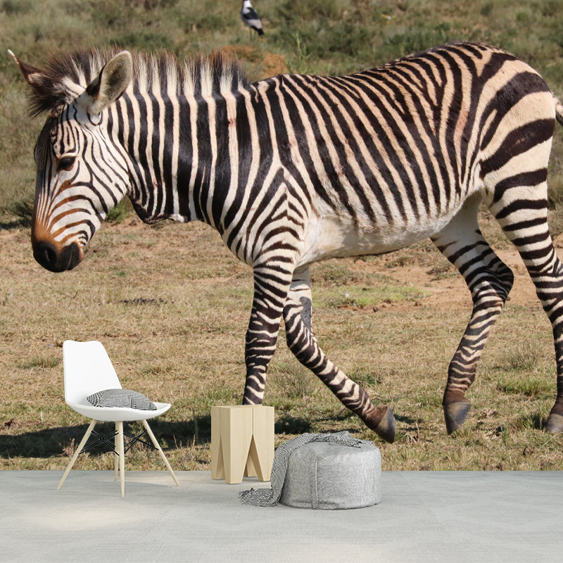 Black and White Zebra Wall Covering for Home Wall Decor, Water Resistant