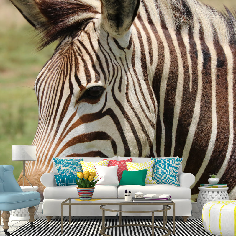 Black and White Zebra Wall Covering for Home Wall Decor, Water Resistant
