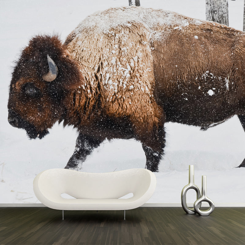 Bison Animal Contemporary Wall Art Personalized Size Mural Wallpaper for Sitting Room