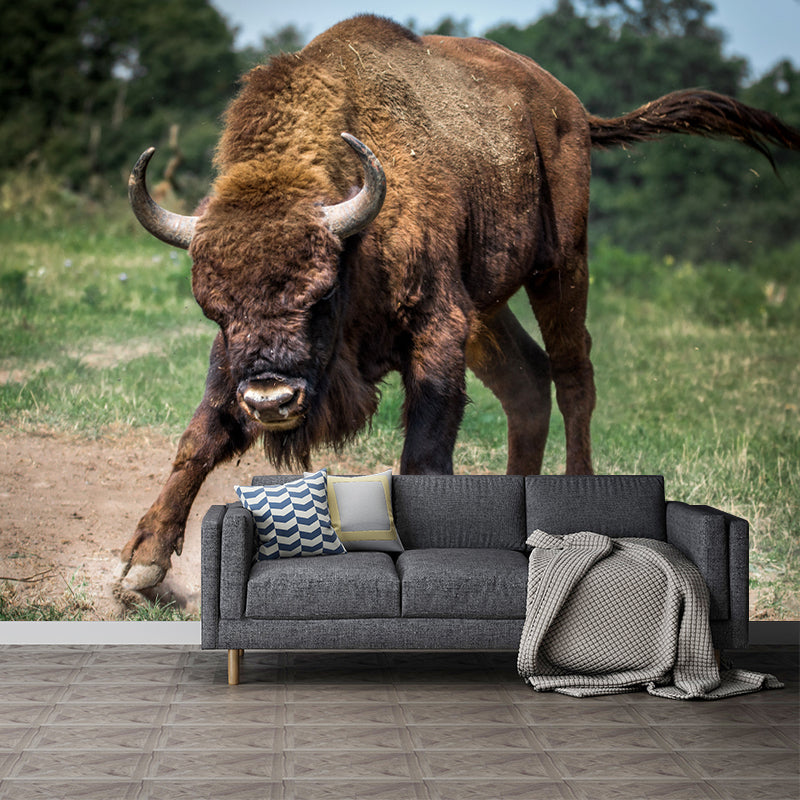 Bison Animal Contemporary Wall Art Personalized Size Mural Wallpaper for Sitting Room