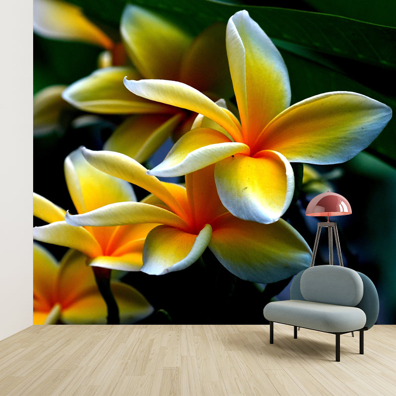 Beautiful Lily Mural Stain Resistant Dining Room Wall Decor, Made to Measure