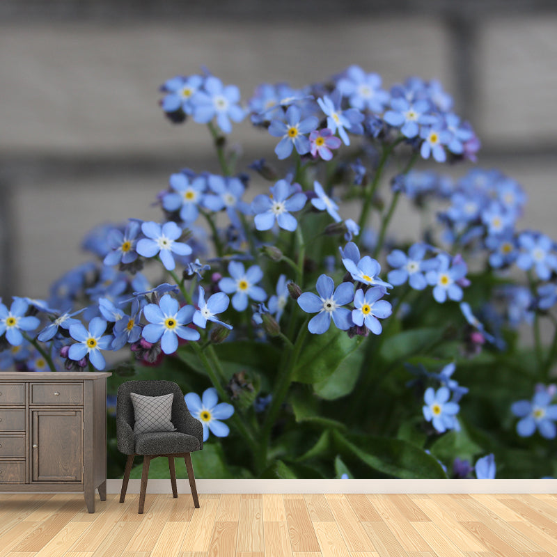 Forget Me Not Mural Personalized Size Wall Covering for Sleeping Room