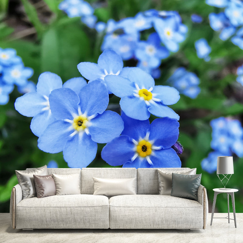 Forget Me Not Flower Mural Wallpaper Personalized Size Wall Covering for Bedroom