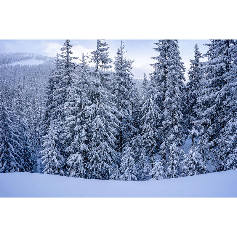 Mildew Resistant Forest Mural Wall Covering Decorative for Wall Decor