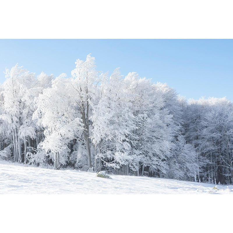 Photography Forest Mural Wallpaper for Living Room Wall Covering in Bright Color