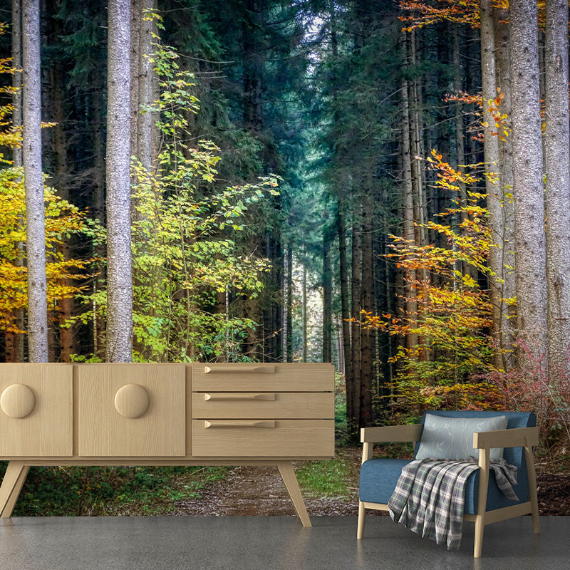 Photography Forest Mural Wallpaper for Living Room Wall Covering in Bright Color
